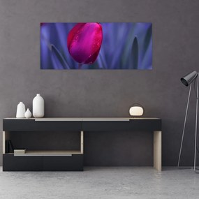 Obraz pupete tulipánu (120x50 cm)