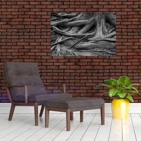 Obraz - Korene stromu (90x60 cm)
