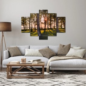 Obraz stromov pri jazere (150x105 cm)