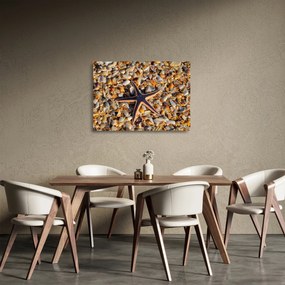 Sklenený obraz morskej hviezdice (70x50 cm)