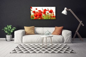 Obraz Canvas Maky rastlina príroda 140x70 cm
