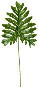 Okrasný list Philodendron - 34 * 80cm