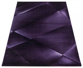 Ayyildiz koberce Kusový koberec Costa 3527 lila - 120x170 cm
