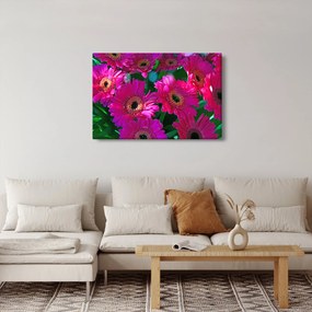 Obraz - kvety (90x60 cm)