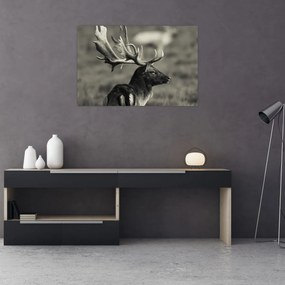 Obraz - Jeleň (90x60 cm)