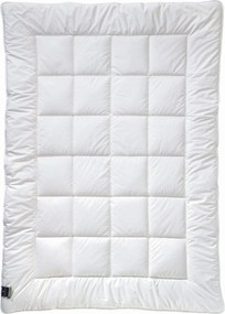 XXXLutz ZIMNÁ PRIKRÝVKA, 155/220 cm, polyester Billerbeck - Prikrývky & vankúše - 003279053802