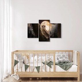 Obraz sovy (90x60 cm)