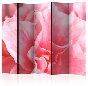 Paraván - Pink azalea flowers II [Room Dividers] Veľkosť: 225x172, Verzia: Jednostranný