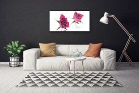 Obraz Canvas Ruže kvety rastlina 140x70 cm