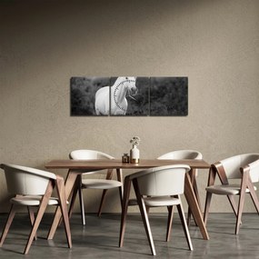 Obraz bieleho koňa na lúke, čiernobiela (s hodinami) (90x30 cm)
