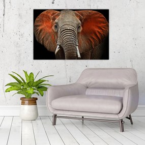 Obraz - Slony z Tsavo (90x60 cm)