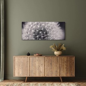 Obraz púpavy (120x50 cm)