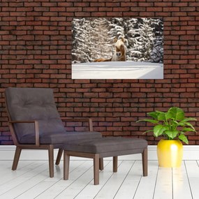 Obraz - Kôň v zimnej krajine (90x60 cm)