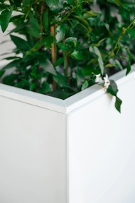 Kvetináč ELEMENTO, pozink, šírka 90 cm, biely
