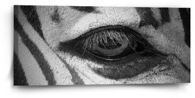 Sablio Obraz Oko zebry - 110x50 cm
