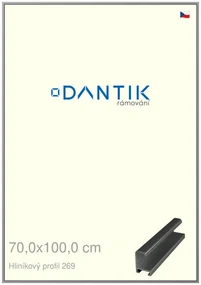DANTIK rám na obraz 70x100 | ALU Šedá leská (Plexi Čiré)