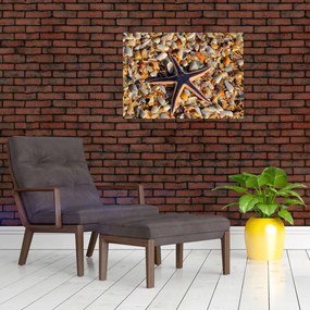 Obraz morskej hviezdice (70x50 cm)