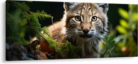 Obraz - Rys (120x50 cm)
