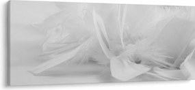 Obraz - Perie (120x50 cm)
