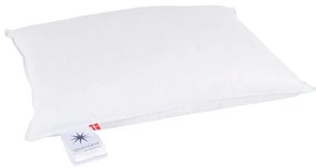 Vankúš s páperovou výplňou 50x70 cm Neptune Low – Universe of Sleeping