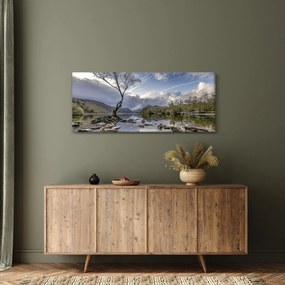 Obraz rieky za stromom (120x50 cm)