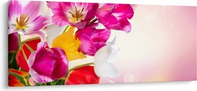 Obraz tulipánov (120x50 cm)