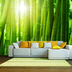 Artgeist Fototapeta - Sun and bamboo Veľkosť: 200x154, Verzia: Premium