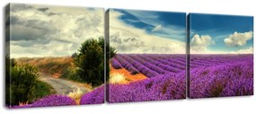 Gario Obraz na plátne Čarovná levanduľová krajina - 3 dielny Rozmery: 90 x 30 cm
