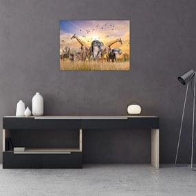 Sklenený obraz - Africké zvieratá (70x50 cm)