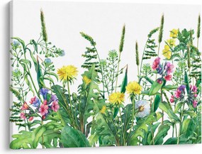 Obraz - Maľované lúčne kvety (70x50 cm)