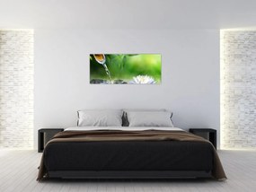Obraz - Lotus (120x50 cm)
