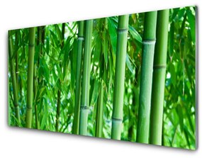 Nástenný panel  Bambus stonka rastlina 125x50 cm