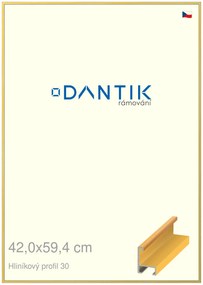 DANTIK rám na obraz 42x59,4 | ALU Dýha barevná žlutá (Plexi Čiré)