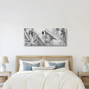 Obraz - Vtáčik v zime (120x50 cm)
