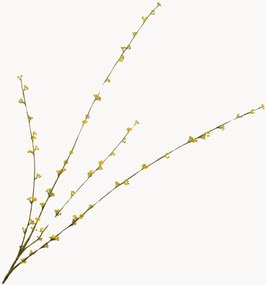 Rastlinná dekorácia Spiraea