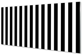 Sklenený obraz Geometrické zebra pruhy 100x50 cm