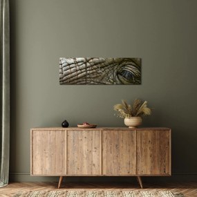 Obraz - Detailné fotografie starého slonieho oka (s hodinami) (90x30 cm)
