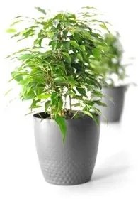 Plastia Plastový kvetináč Perla 25 cm, antracit, Plastia, pr. 25 cm