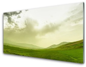 Obraz plexi Lúka príroda zelený výhľad 100x50 cm