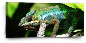 Sablio Obraz Chameleón - 110x50 cm