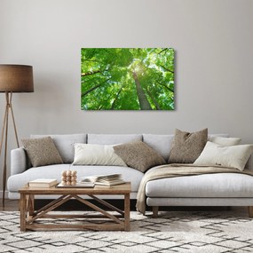 Obraz - Les (90x60 cm)