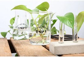 Sklenená váza (výška 12 cm) Natural History – Esschert Design