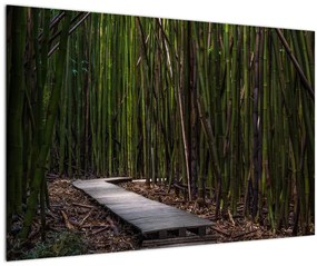 Obraz - Medzi bambusy (90x60 cm)
