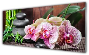 Obraz plexi Bambus kamene zen kvety 125x50 cm