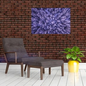 Obraz zasnežených stromov (90x60 cm)