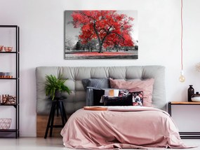 Artgeist Obraz - Autumn in the Park (1 Part) Wide Red Veľkosť: 30x20, Verzia: Na talianskom plátne
