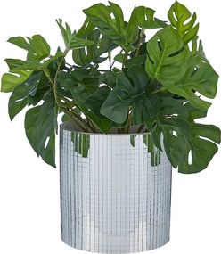 DISCO Kvetináč 11 cm