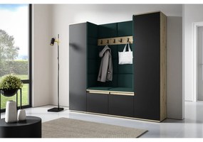 Predsieňová stena AMI 31 Bez zrkadla Dub artisan + čierna Fľašková zelená