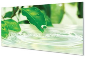 Obraz na skle Kvapky vody lístia 100x50 cm