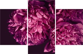 Obraz - Kytica pivoniek (90x60 cm)
